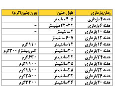 وزن‌گیری طبیعی مادر و جنین بر اساس شاخص توده بدنی است 