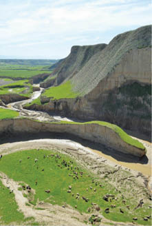 روزنامه خراسان