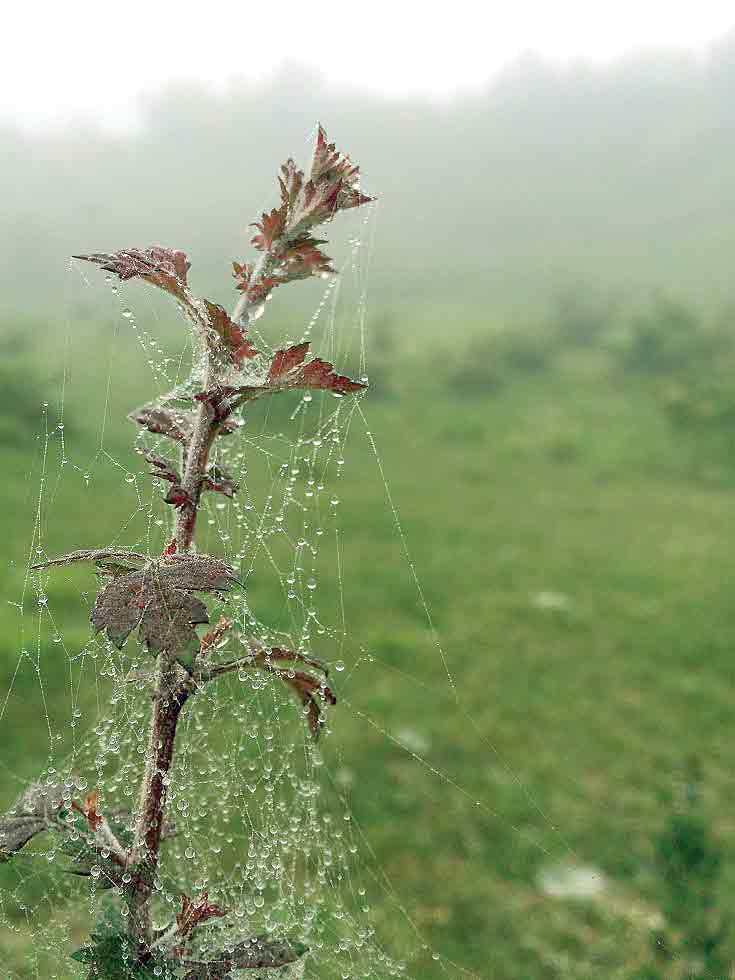 عکس از احمد سعیدی